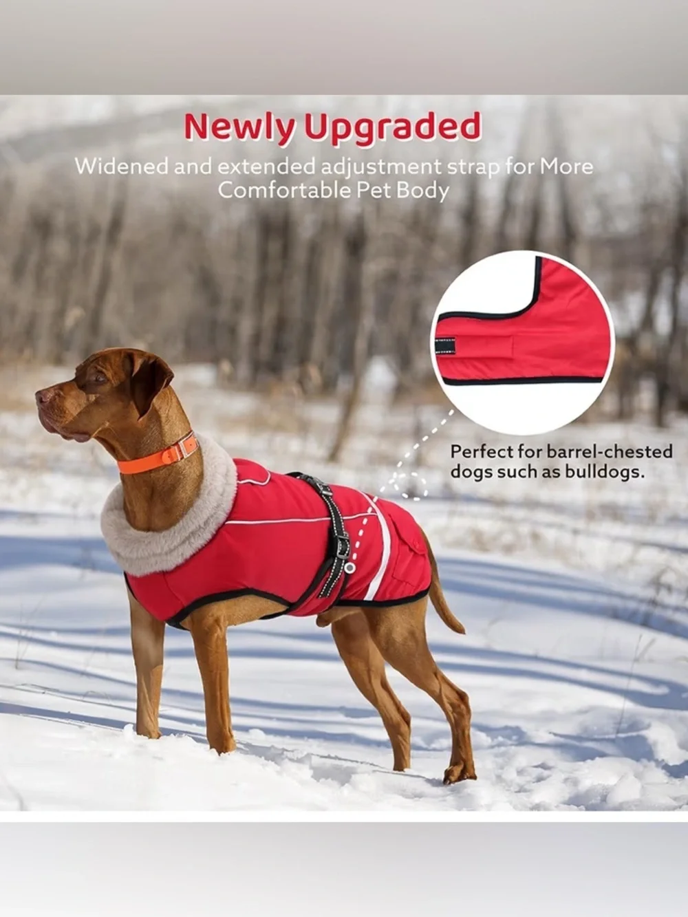 NEW-Dog- Large Red Faux-Fur Collar  Reflective, safety Dog Winter Coat -
